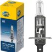 FOG LIGHT BULB